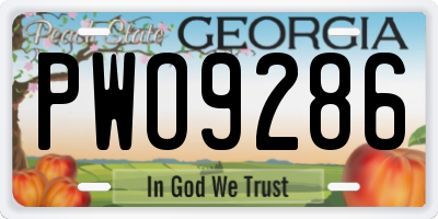 GA license plate PWO9286