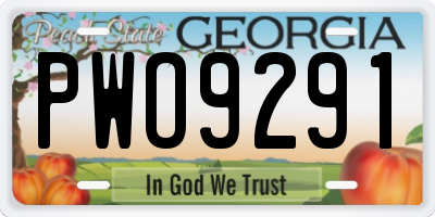 GA license plate PWO9291