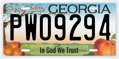 GA license plate PWO9294