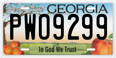 GA license plate PWO9299
