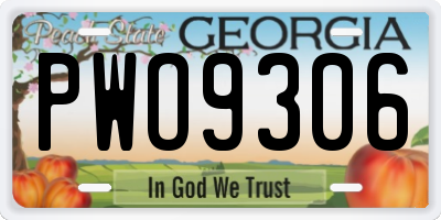 GA license plate PWO9306
