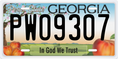 GA license plate PWO9307