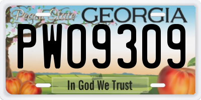 GA license plate PWO9309
