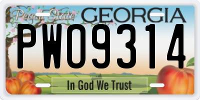 GA license plate PWO9314