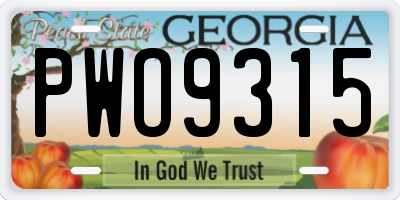 GA license plate PWO9315