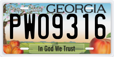GA license plate PWO9316