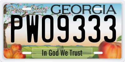 GA license plate PWO9333