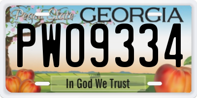 GA license plate PWO9334