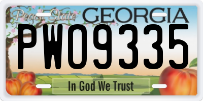 GA license plate PWO9335