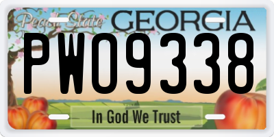 GA license plate PWO9338