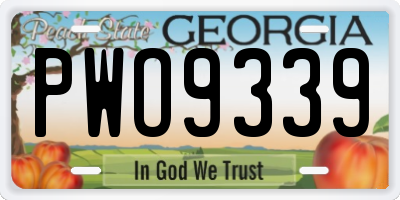 GA license plate PWO9339