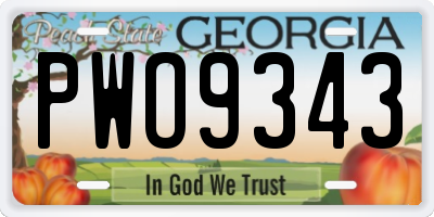 GA license plate PWO9343