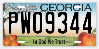 GA license plate PWO9344