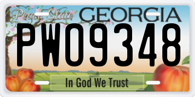 GA license plate PWO9348
