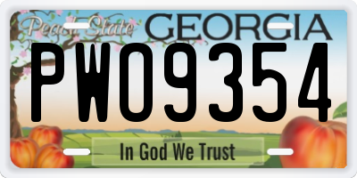 GA license plate PWO9354