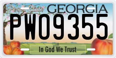 GA license plate PWO9355