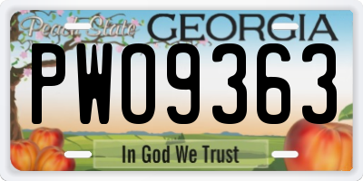 GA license plate PWO9363