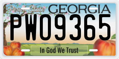GA license plate PWO9365