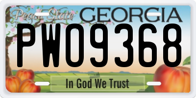 GA license plate PWO9368
