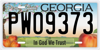 GA license plate PWO9373
