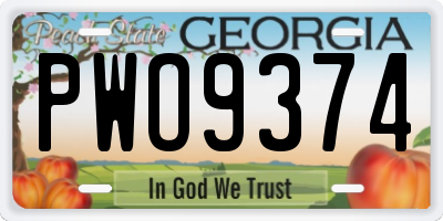 GA license plate PWO9374