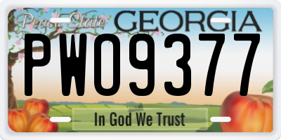 GA license plate PWO9377