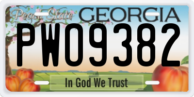 GA license plate PWO9382