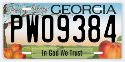 GA license plate PWO9384