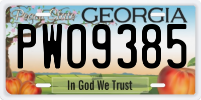 GA license plate PWO9385