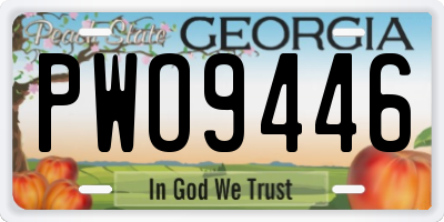 GA license plate PWO9446
