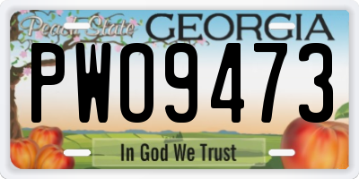 GA license plate PWO9473