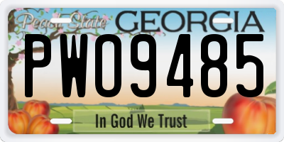 GA license plate PWO9485