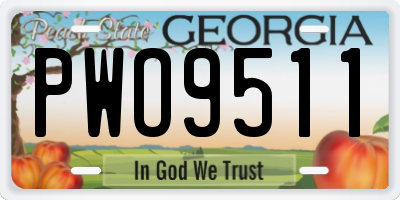 GA license plate PWO9511