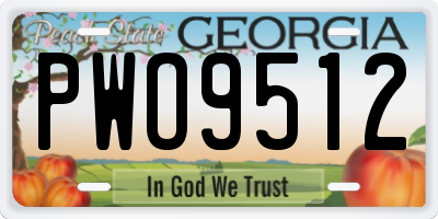 GA license plate PWO9512