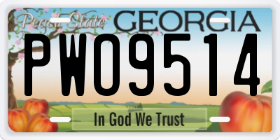 GA license plate PWO9514