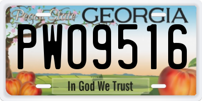 GA license plate PWO9516