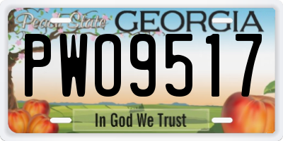 GA license plate PWO9517