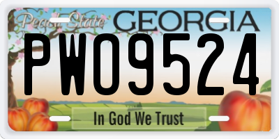 GA license plate PWO9524