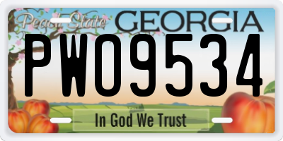 GA license plate PWO9534