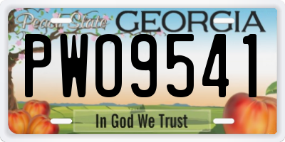 GA license plate PWO9541
