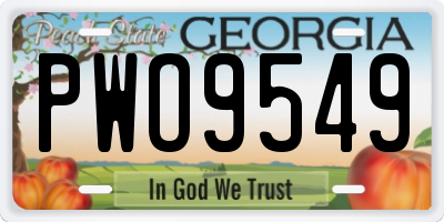 GA license plate PWO9549