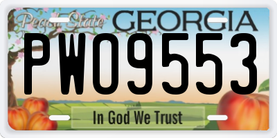 GA license plate PWO9553