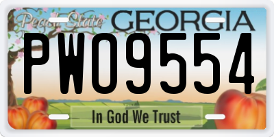 GA license plate PWO9554