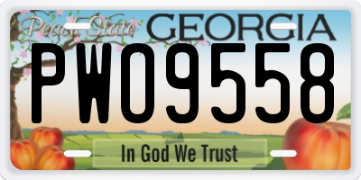 GA license plate PWO9558