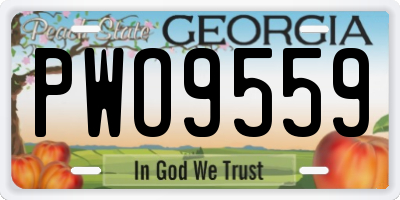GA license plate PWO9559