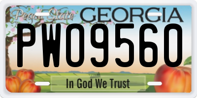 GA license plate PWO9560