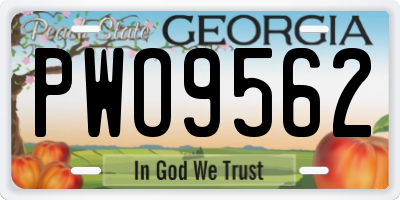 GA license plate PWO9562