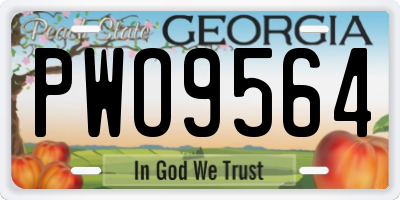 GA license plate PWO9564