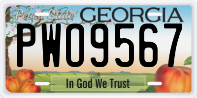 GA license plate PWO9567