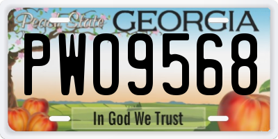 GA license plate PWO9568